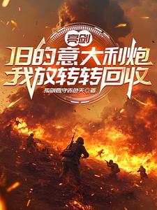 亮剑:旧的意大利炮我放转转回收