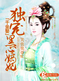 千金宠,倾城质子妃