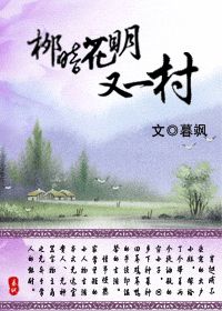 柳暗花明又一村