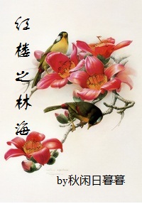 红楼之林海