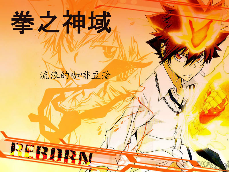 拳之神域