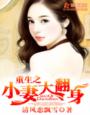 重生之小妻大翻身