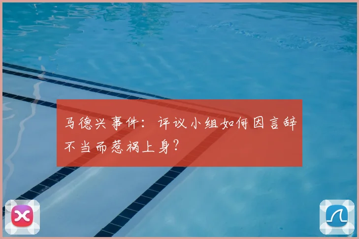马德兴事件：评议小组如何因言辞不当而惹祸上身？