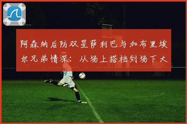 阿森纳后防双星萨利巴与加布里埃尔兄弟情深:从场上搭档到场下大哥,2026见证枪手伟大